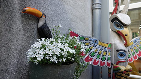 Hoekje van het terras met een toekanbeeldje, witte bloemen en een beschilderde vogelfiguur