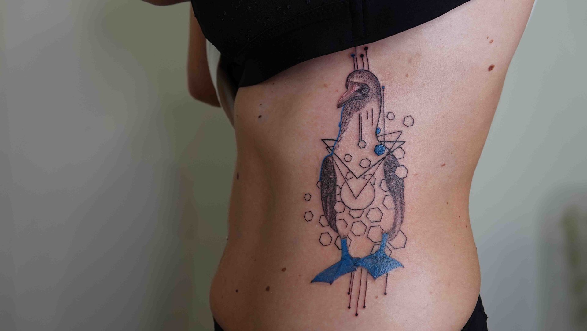 Geometrische vogel op de ribben, opgebouwd uit dunne lijnen en stippen met een blauw accent