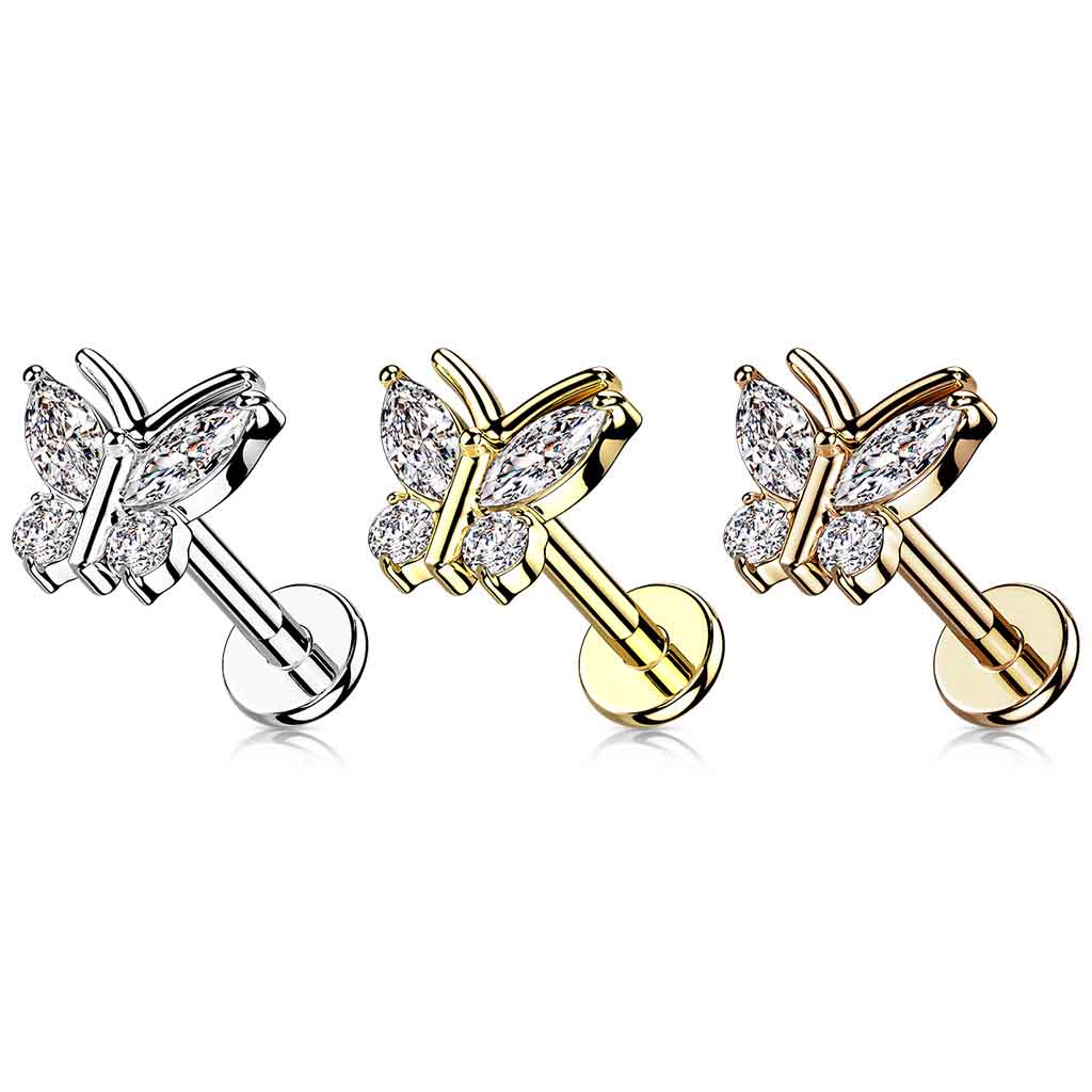 Labret vlinder LIA19