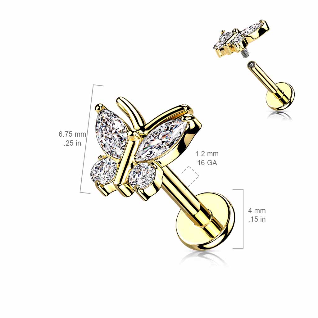 Labret vlinder LIA19