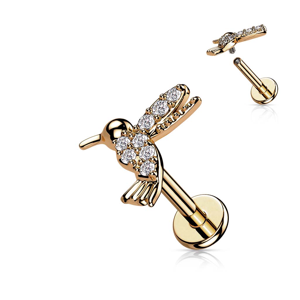 Labret kolibrie LIA17