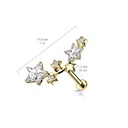 Labret maan LI67