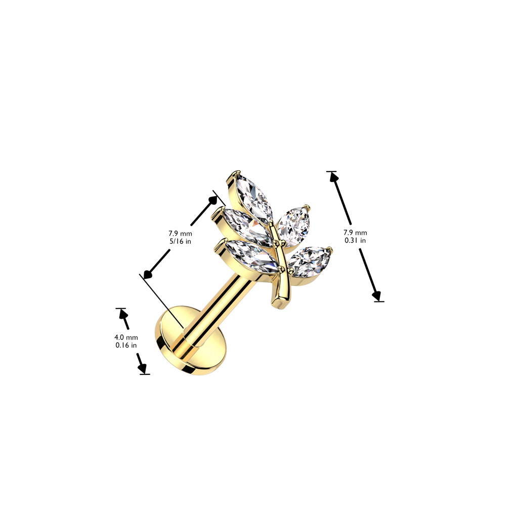 Labret ILC05 (Blad)