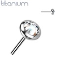 Top QDT85 (Steentje) (Push pin)