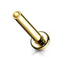 Labret-C QASYLT (Schroef in staafje) 3 mm disk