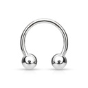 Barbell hoefijzer HS