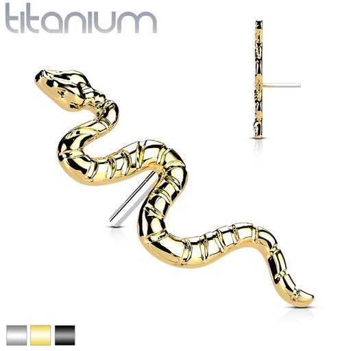 Top QDT49 (slang) (Push pin)