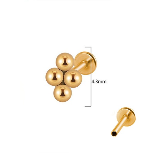 [C73-25/6-1.2/ZBJL04-GD] Labret balclusters ZBJL04